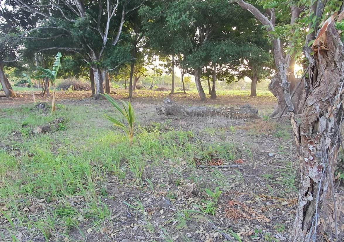 2.66-Hectare Land for Sale in Bejuco, Chame Panama Oeste – Ideal for Residential or Country Development - photo 8