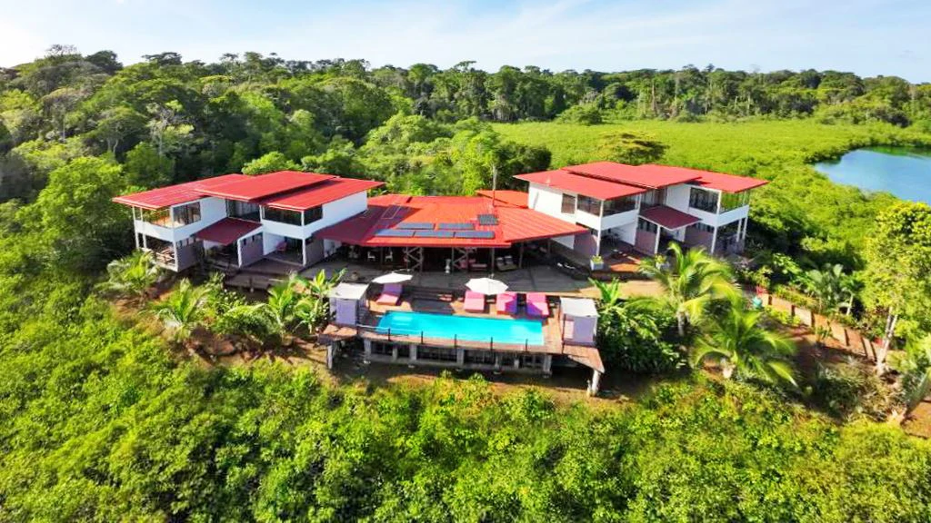 Hotel in Bocas - French Touch, Sabores Locales - photo 7