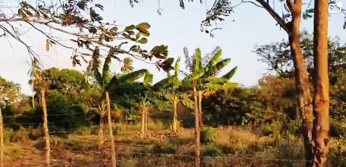 2.66-Hectare Land for Sale in Bejuco, Chame Panama Oeste – Ideal for Residential or Country Development - photo 13