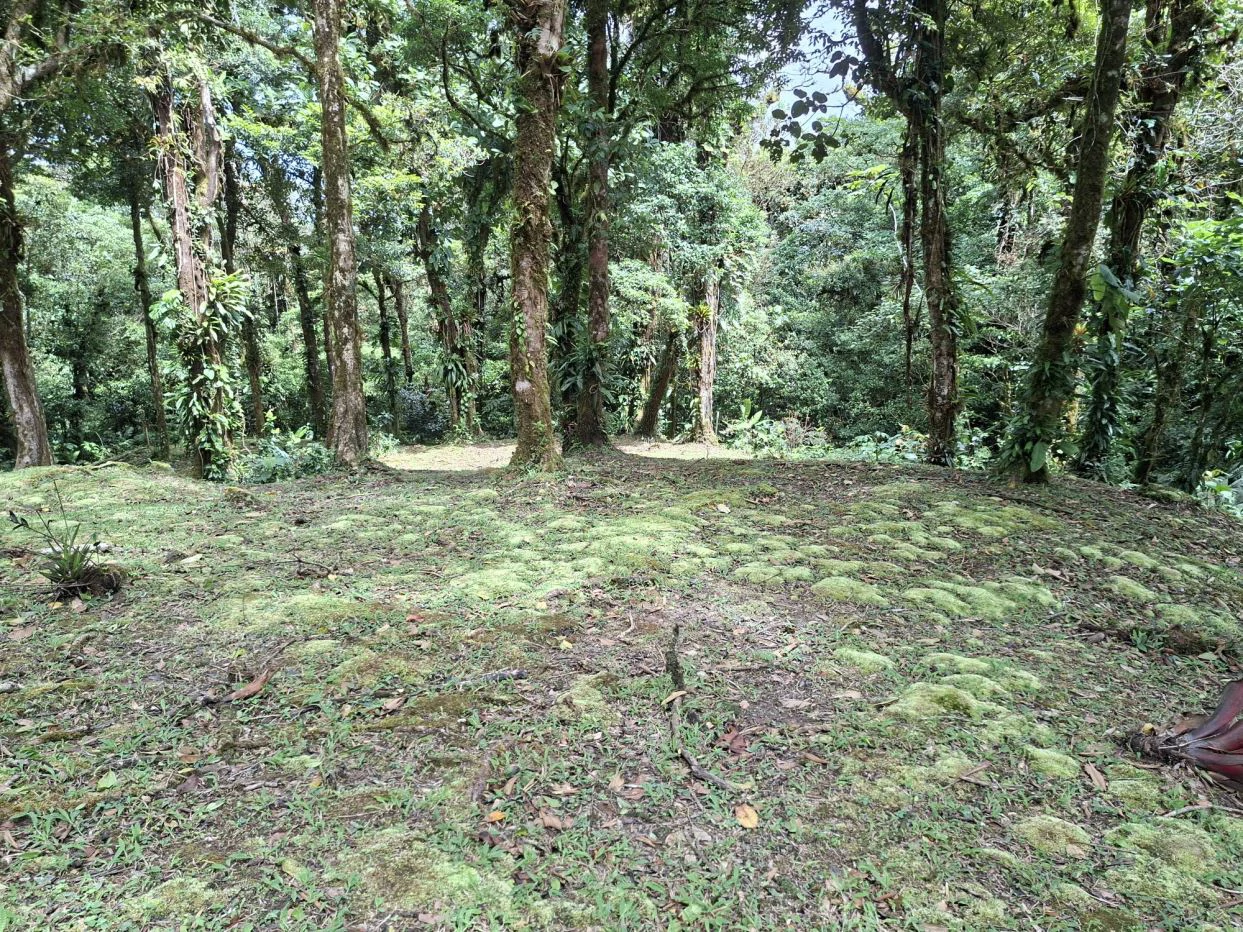 FOR SALE – Mountain Land in Altos de María, Chame District, Panamá - photo 3