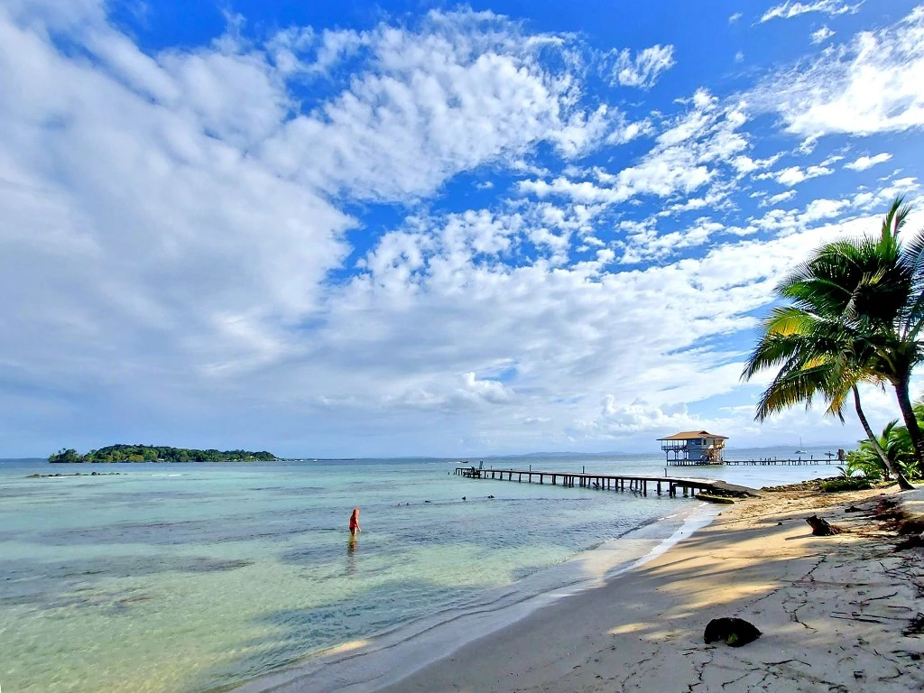 B&B nestled in the jungle of Isla Colon - Bocas del Toro - photo 28