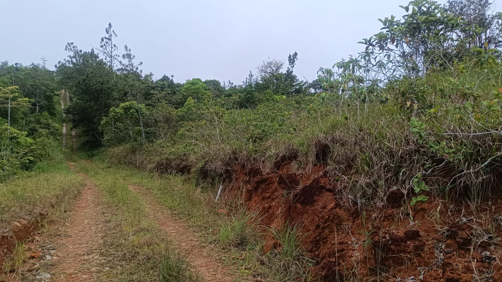 Land for Sale Alto Utivé – Cerro Azul with City and Panama Bay Views - photo 2
