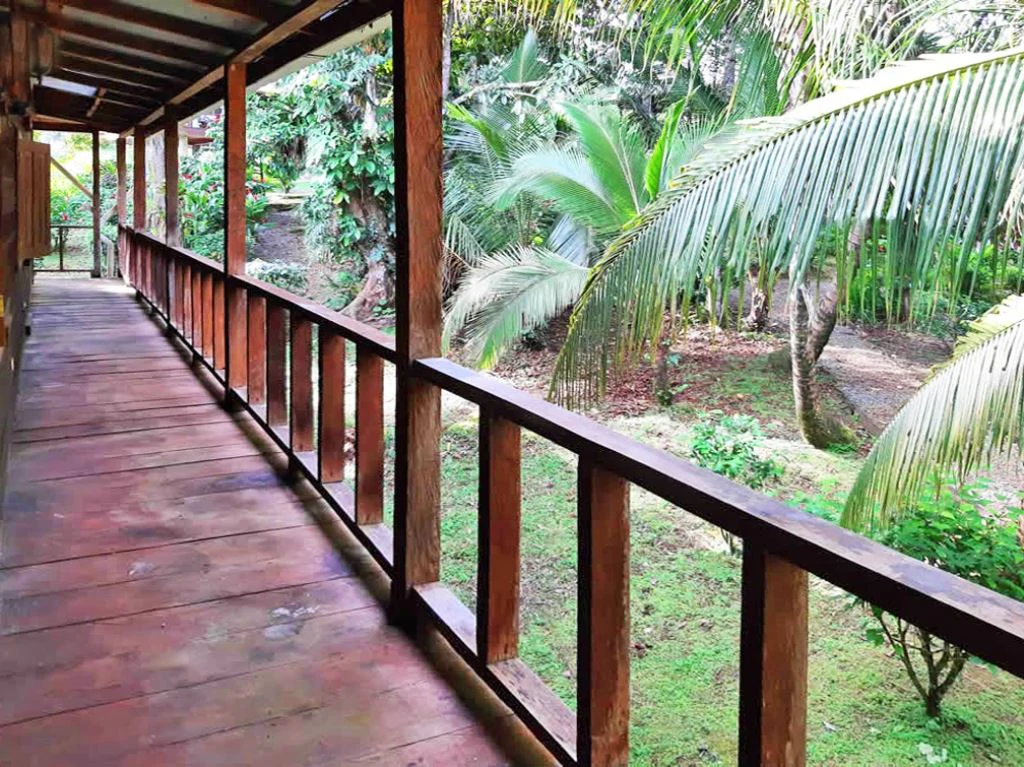 Affordable Island Living - photo 11