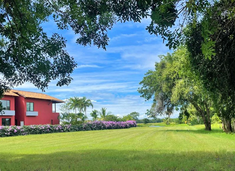 Stunning Land in Buenaventura - photo 9
