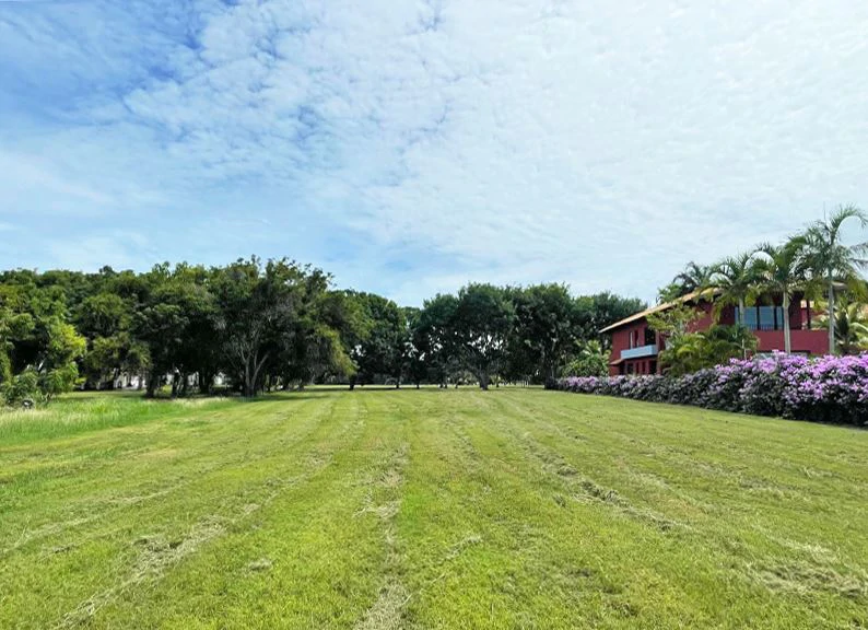 Stunning Land in Buenaventura - photo 8