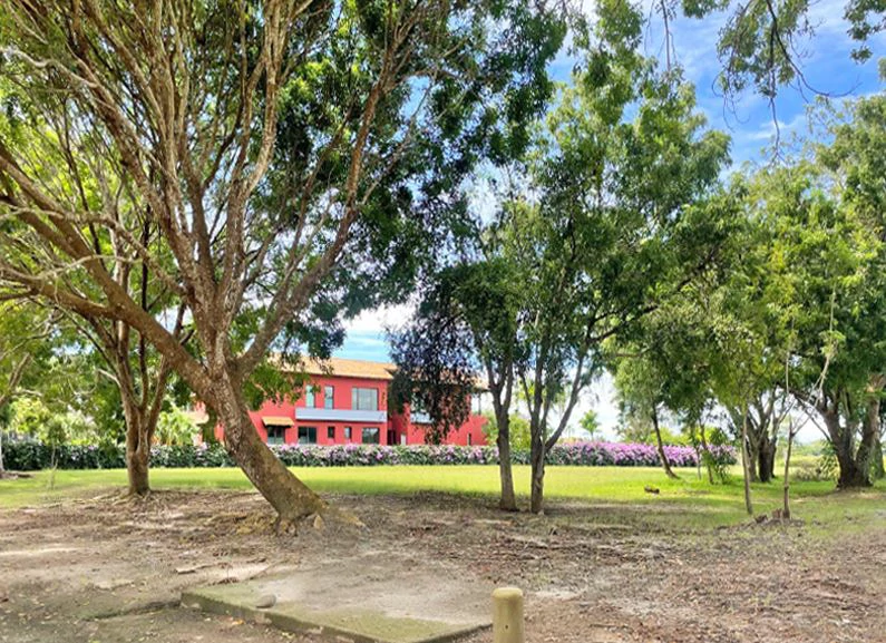 Stunning Land in Buenaventura - photo 10