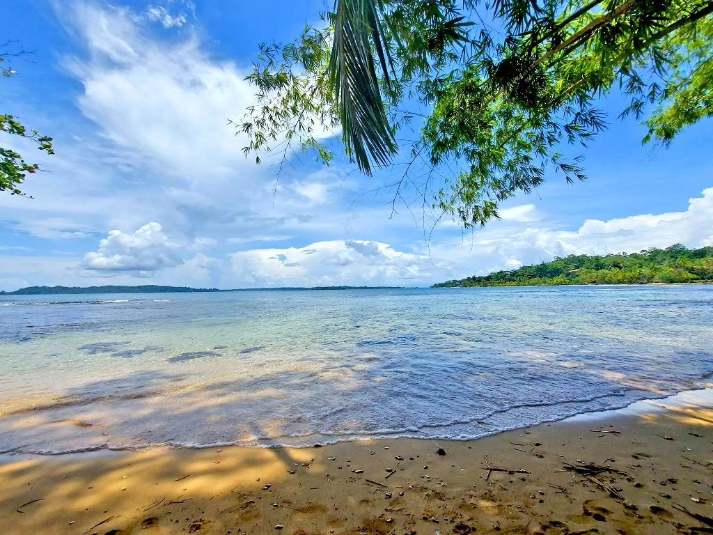 B&B nestled in the jungle of Isla Colon - Bocas del Toro - photo 29