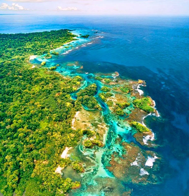 Hotel Bocas del Toro - photo 32
