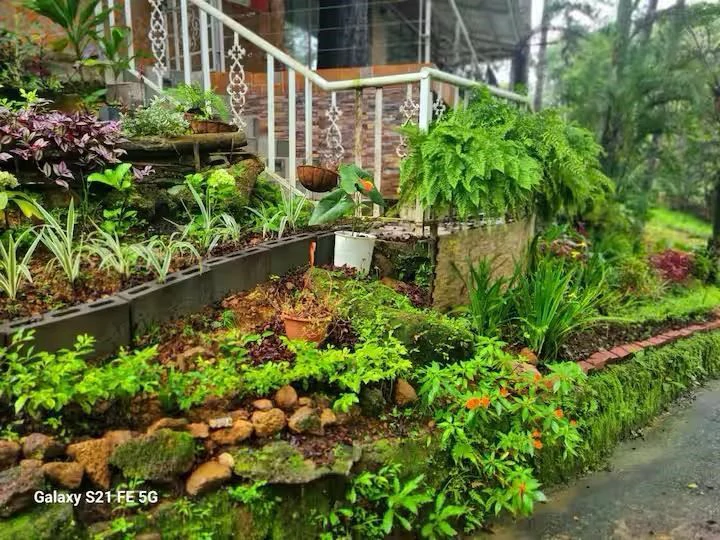 Single-Family Home in Los Altos de Cerro Azul - photo 2