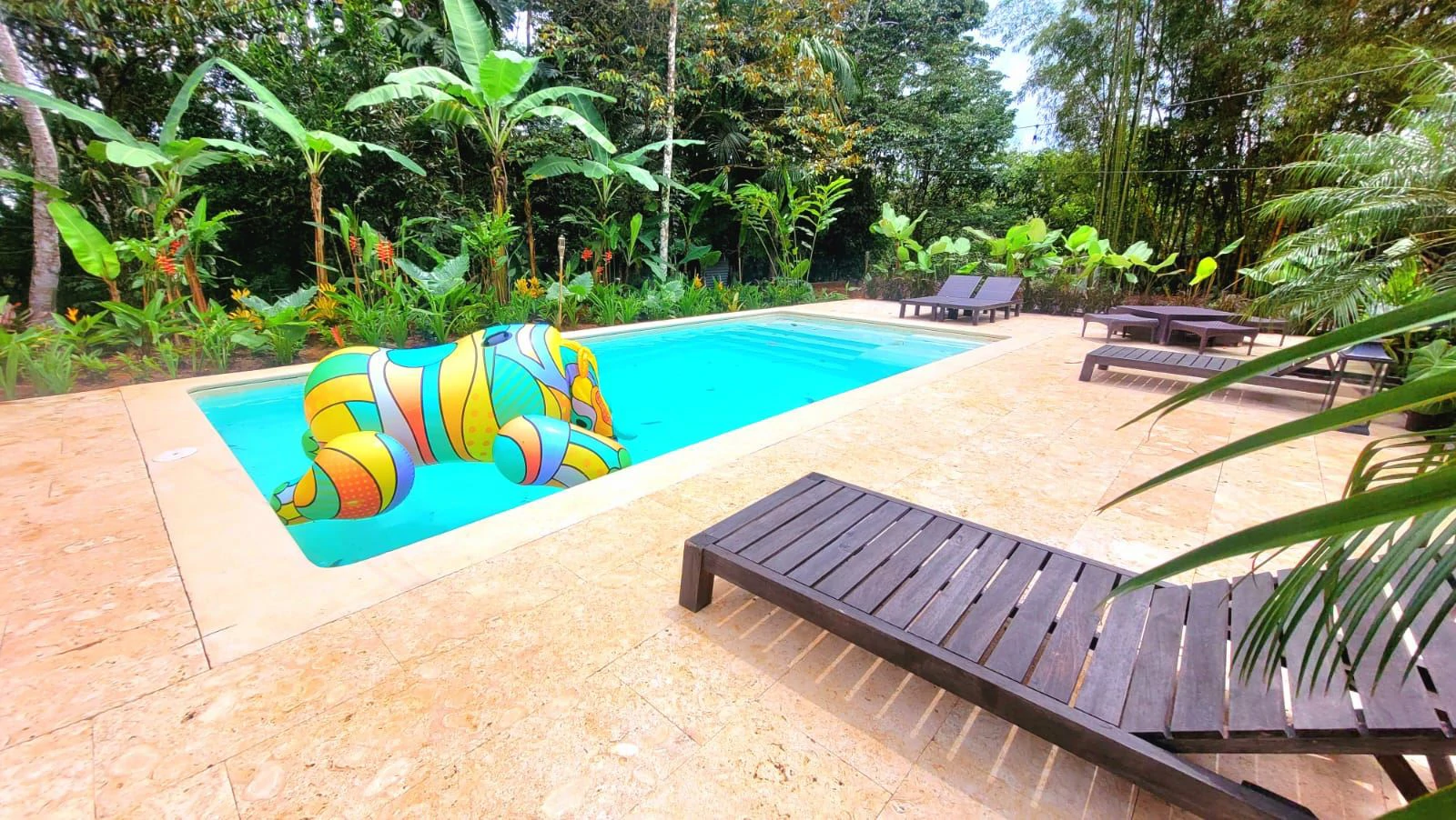 Boutique Hotel / Ecolodge for Sale in Cerro Azul – Investment Opportunity - photo 24