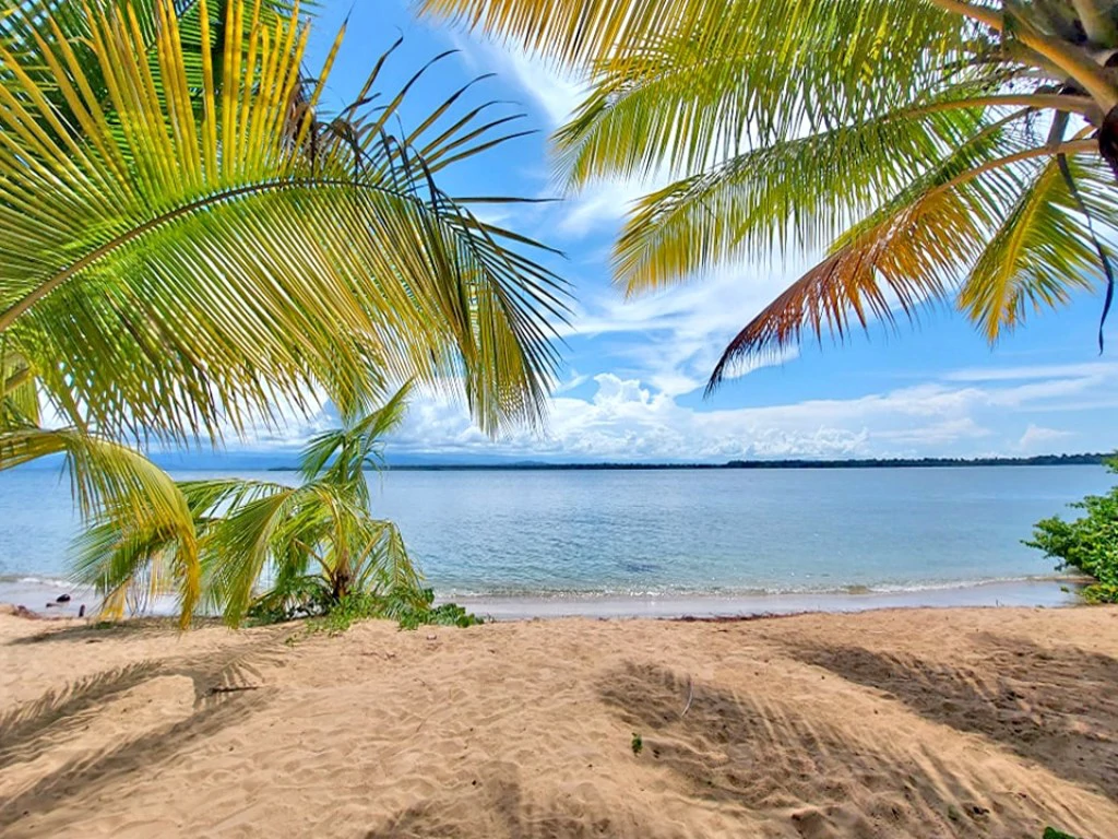 B&B nestled in the jungle of Isla Colon - Bocas del Toro - photo 32