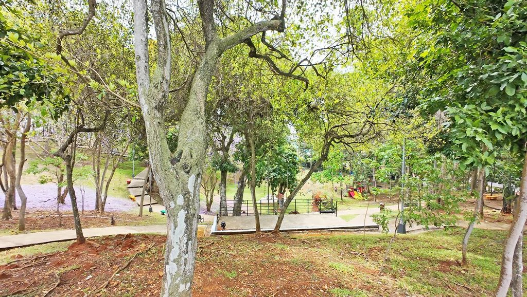 Brand New in Hato Pintado - photo 26