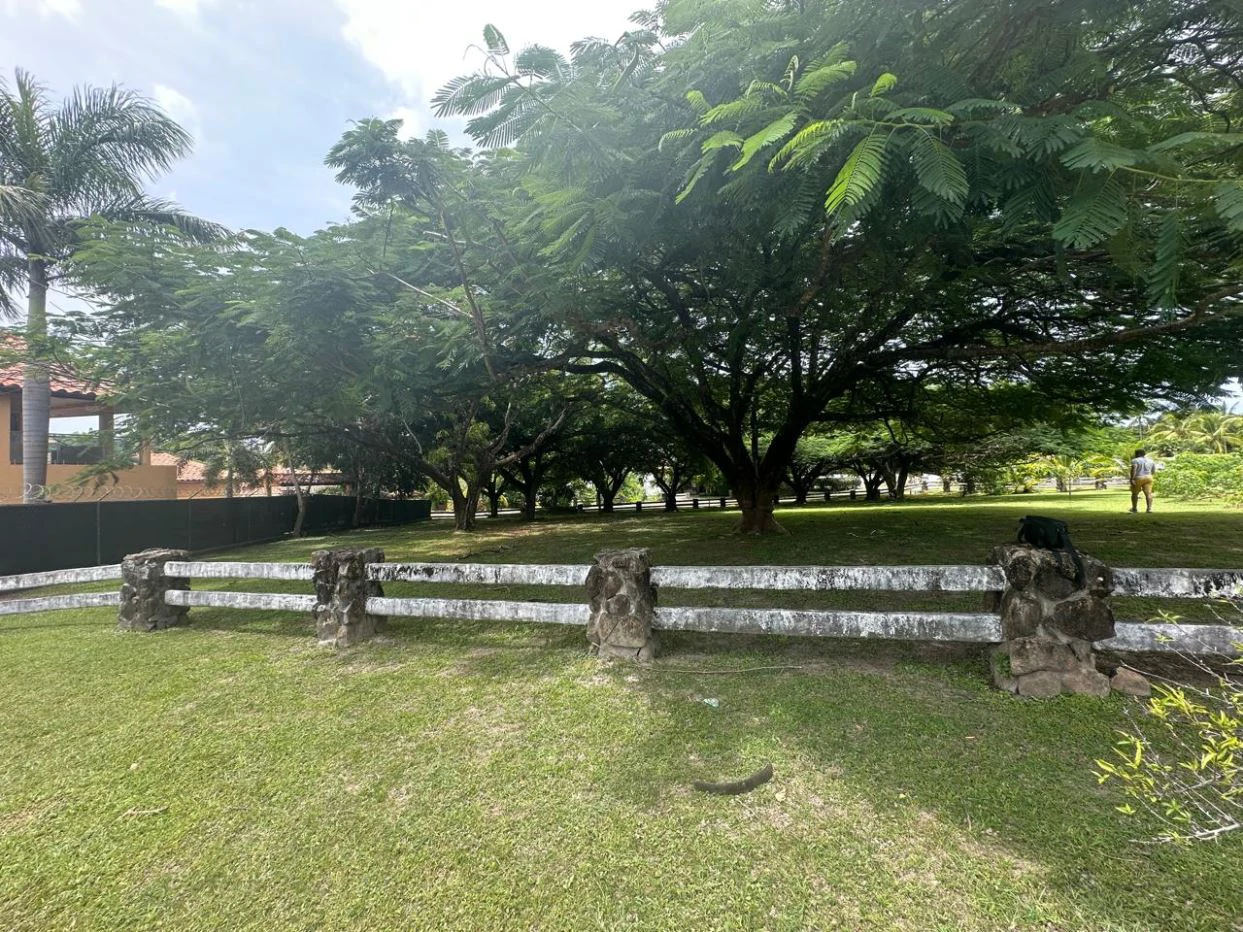 Land for Sale in PH Punta Barco Village – San Carlos, Panama West - photo 10