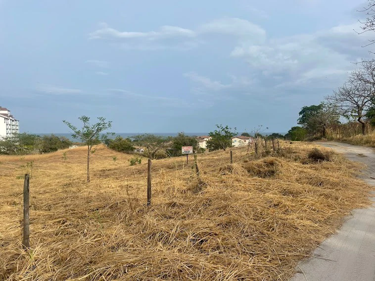 LOT / LAND SAN CARLOS - photo 3