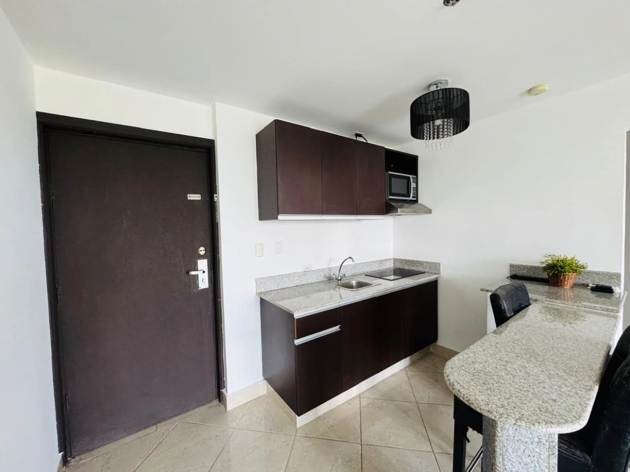 OPPORTUNITY! Tourist Apartment Condo-Hotel for sale in Ibiza Playa Corona - photo 2