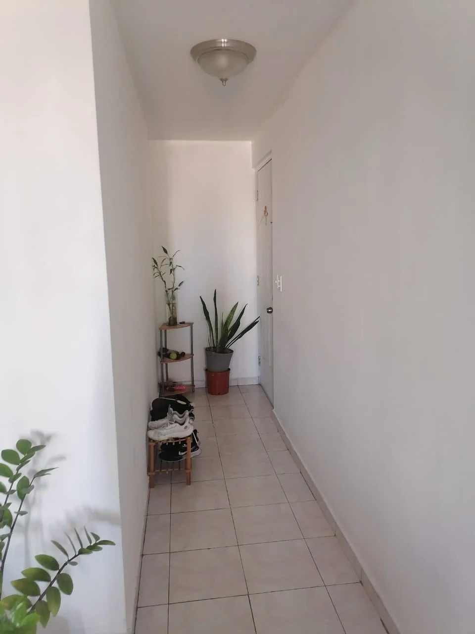 Apartment for Sale in Parque Lefevre - photo 12