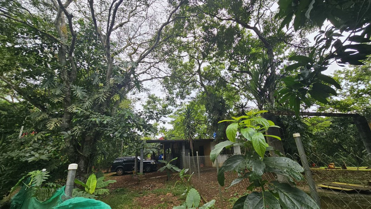 Your ideal land in Las Mendozas! Nature and tranquilility in La Chorrera. - photo 8
