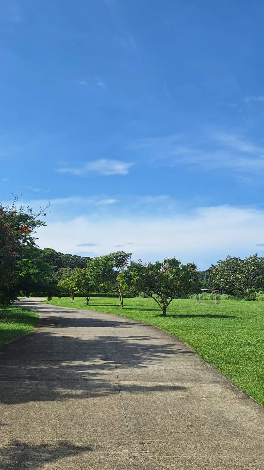 Townhome for Sale | Woodlands Phase 1, Panama Pacifico – Corner Unit with Green Space & Low HOA - photo 5