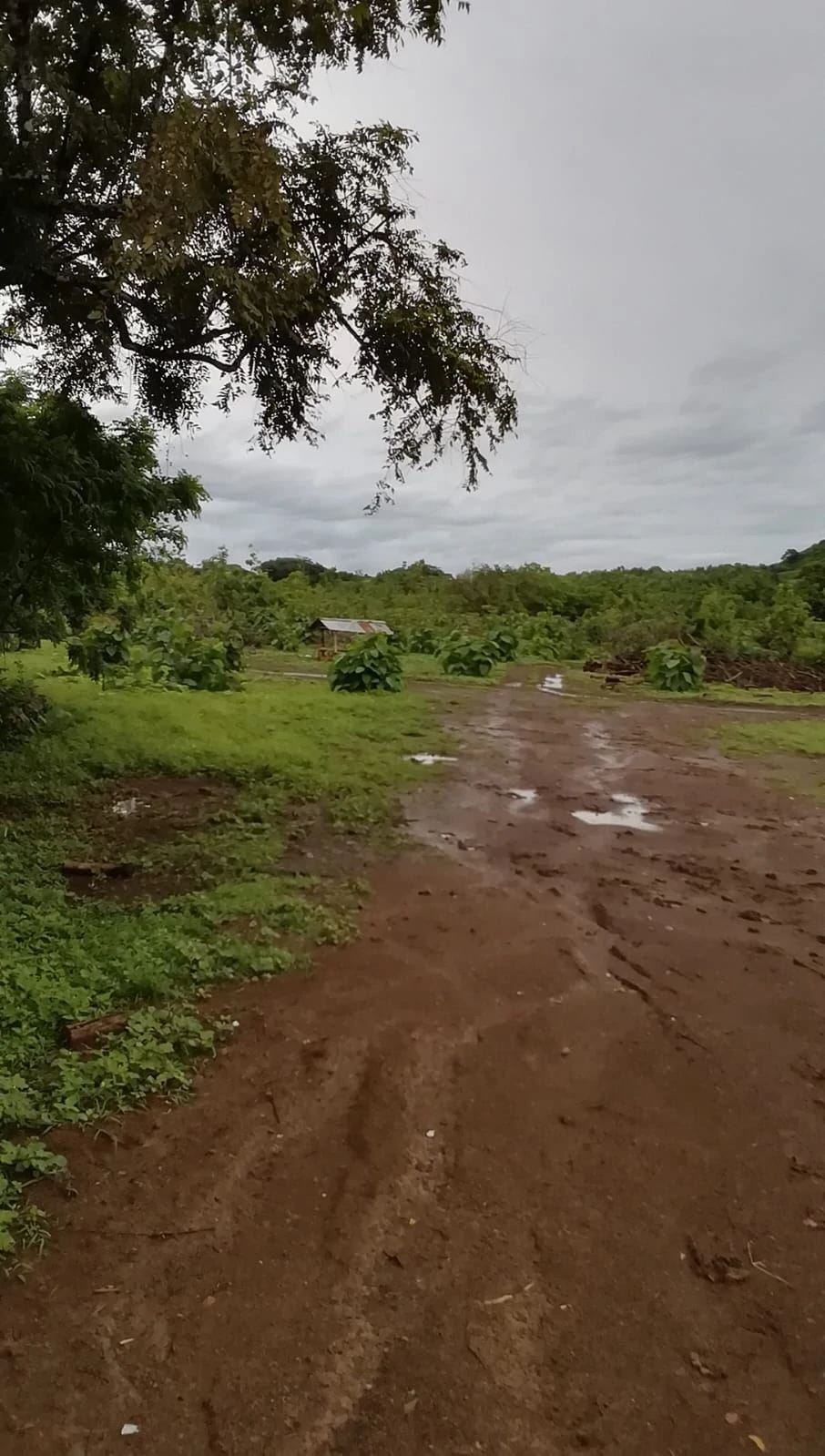 LAND FOR SALE IN LAS TABLAS – POCRÍ / PARITILLA, 15.5 HECTARES - photo 20