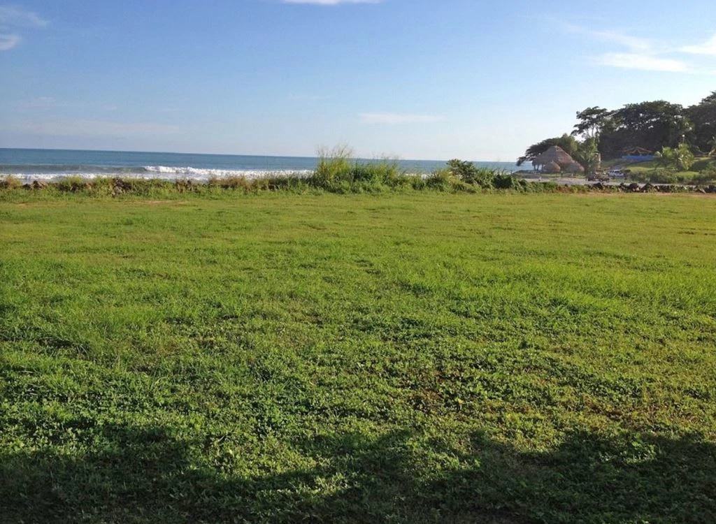 Amazing Beach Front Land in Chame - photo 8