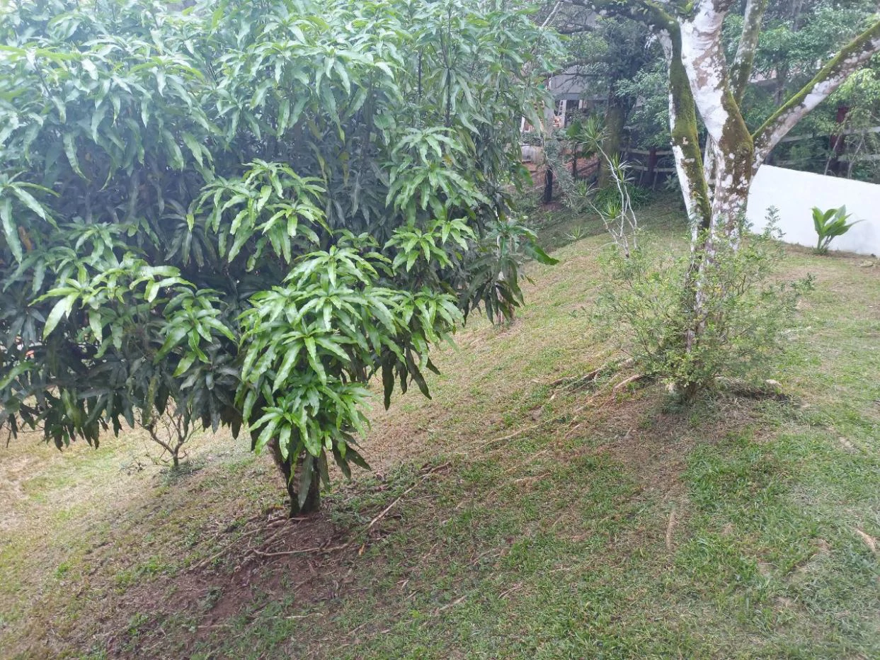 Mountain Home for Sale in Altos de Cerro Azul - photo 13