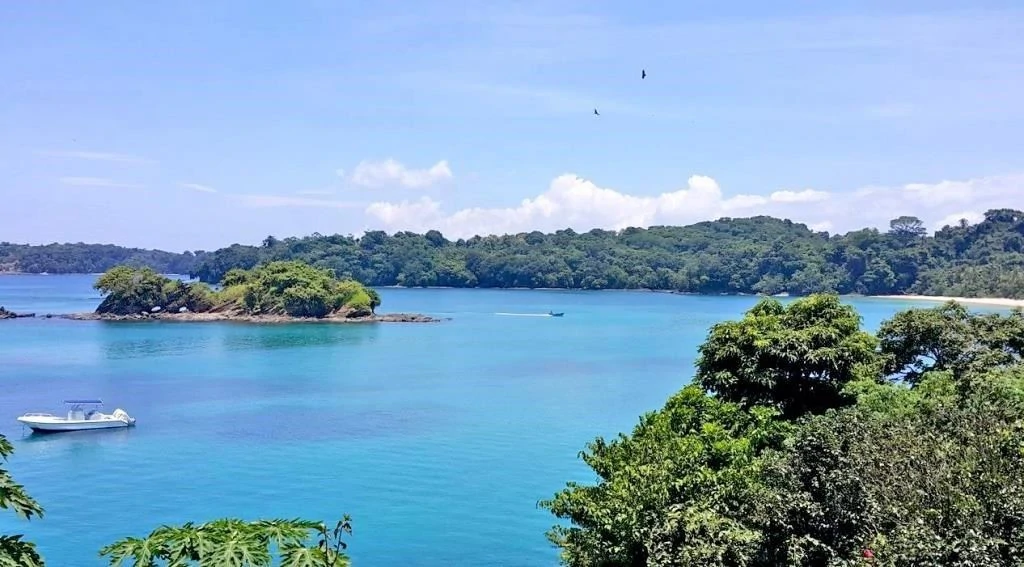 Oceanfront Land on Isla Saboga