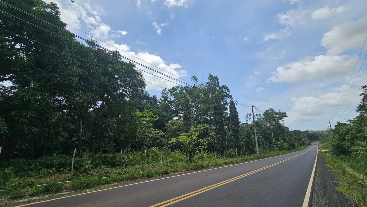 Your ideal land in Las Mendozas! Nature and tranquilility in La Chorrera.