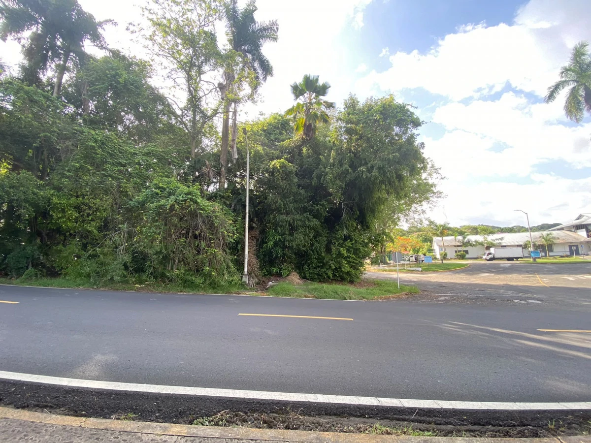 Corner Residential Lot in Diablo | 666 m² | Prime Location - Gallery image 5