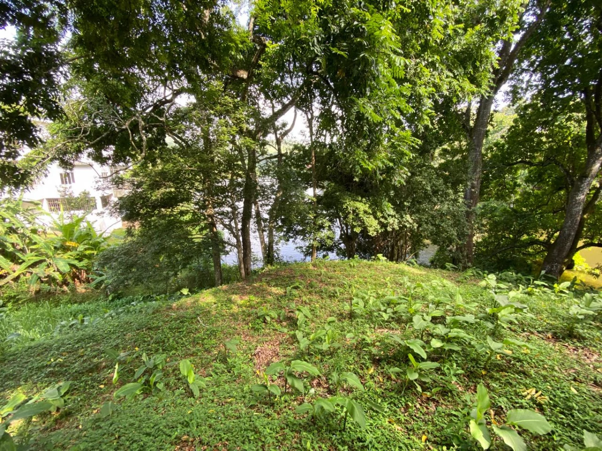 Land for Sale Facing Las Cumbres Lake - Gallery image 3