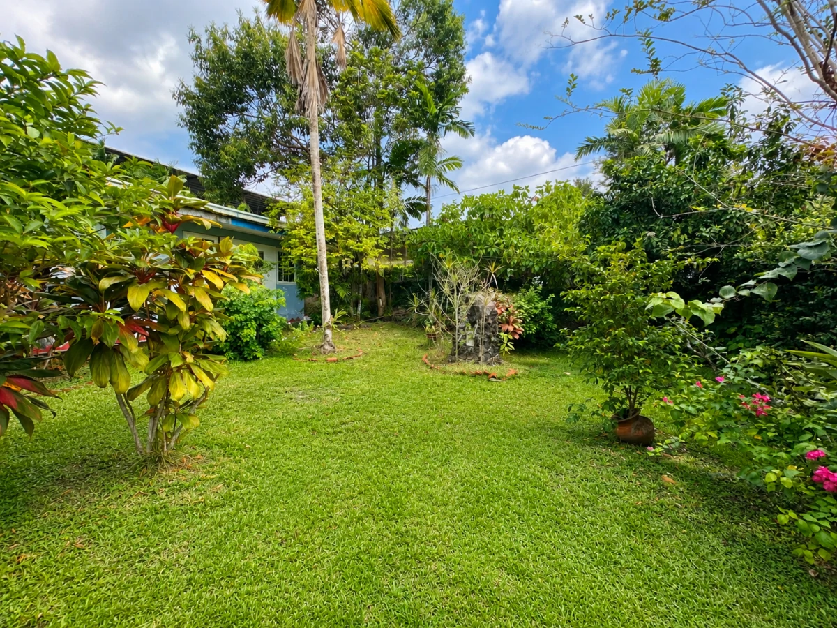 1,556 m² in Las Cumbres for Only $215,000 - Gallery image 2