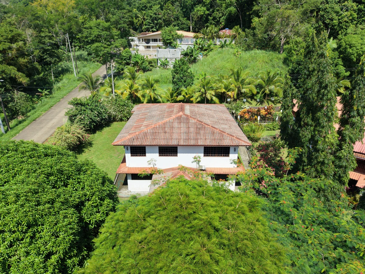 Large Property with 2 Independent Residences in Las Cumbres - Gallery image 21