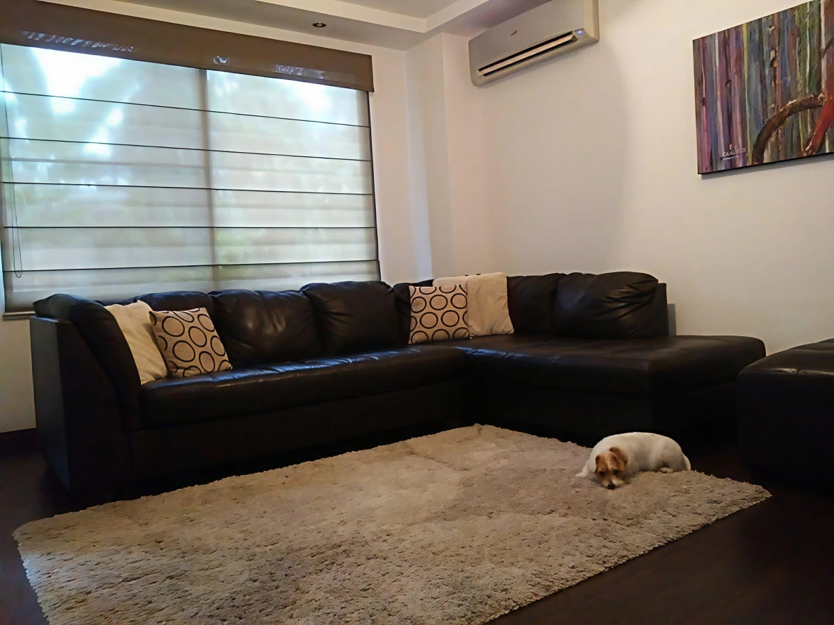 Modern House for Sale in Llanos de Curundú – Panama - Gallery image 15