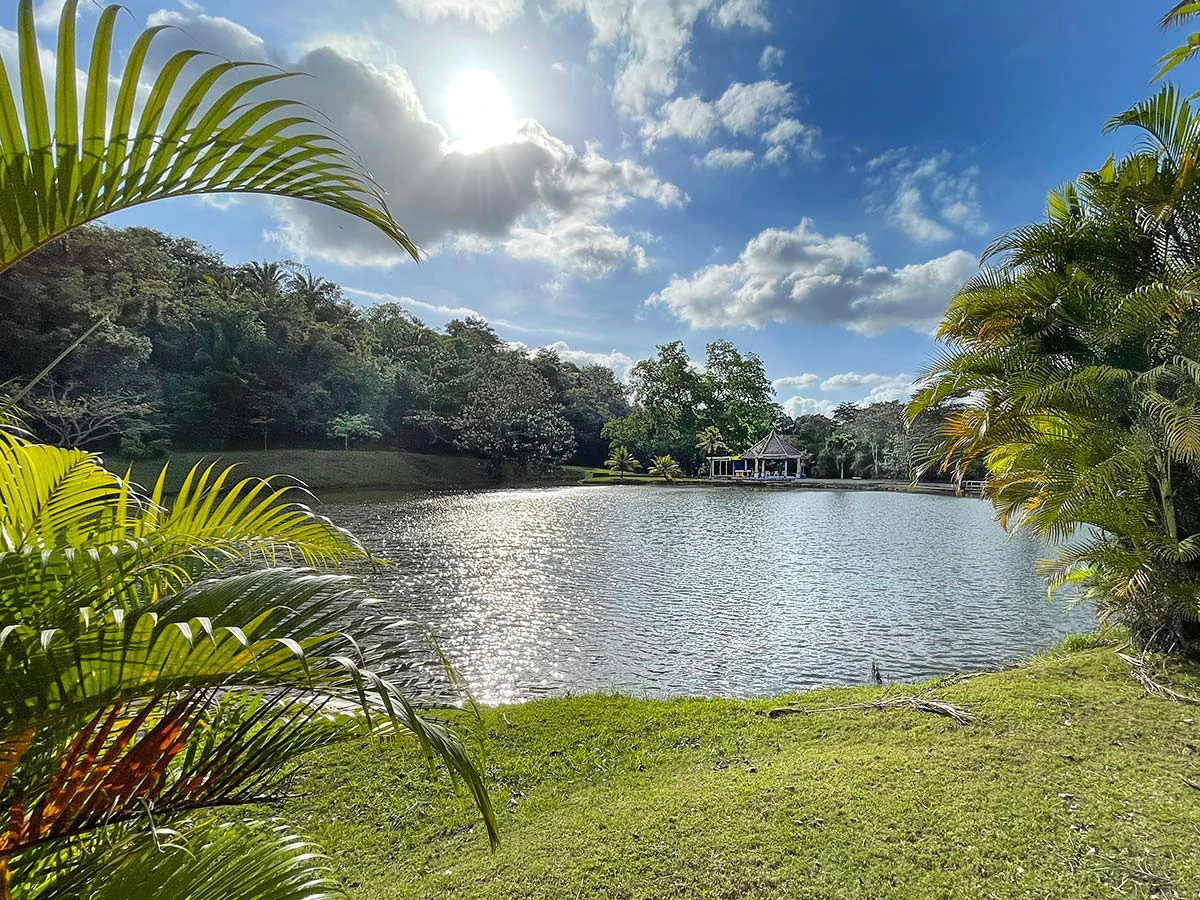 Amazing exotic-wood house 30 minutes from the city, now $299,000. - Gallery image 6