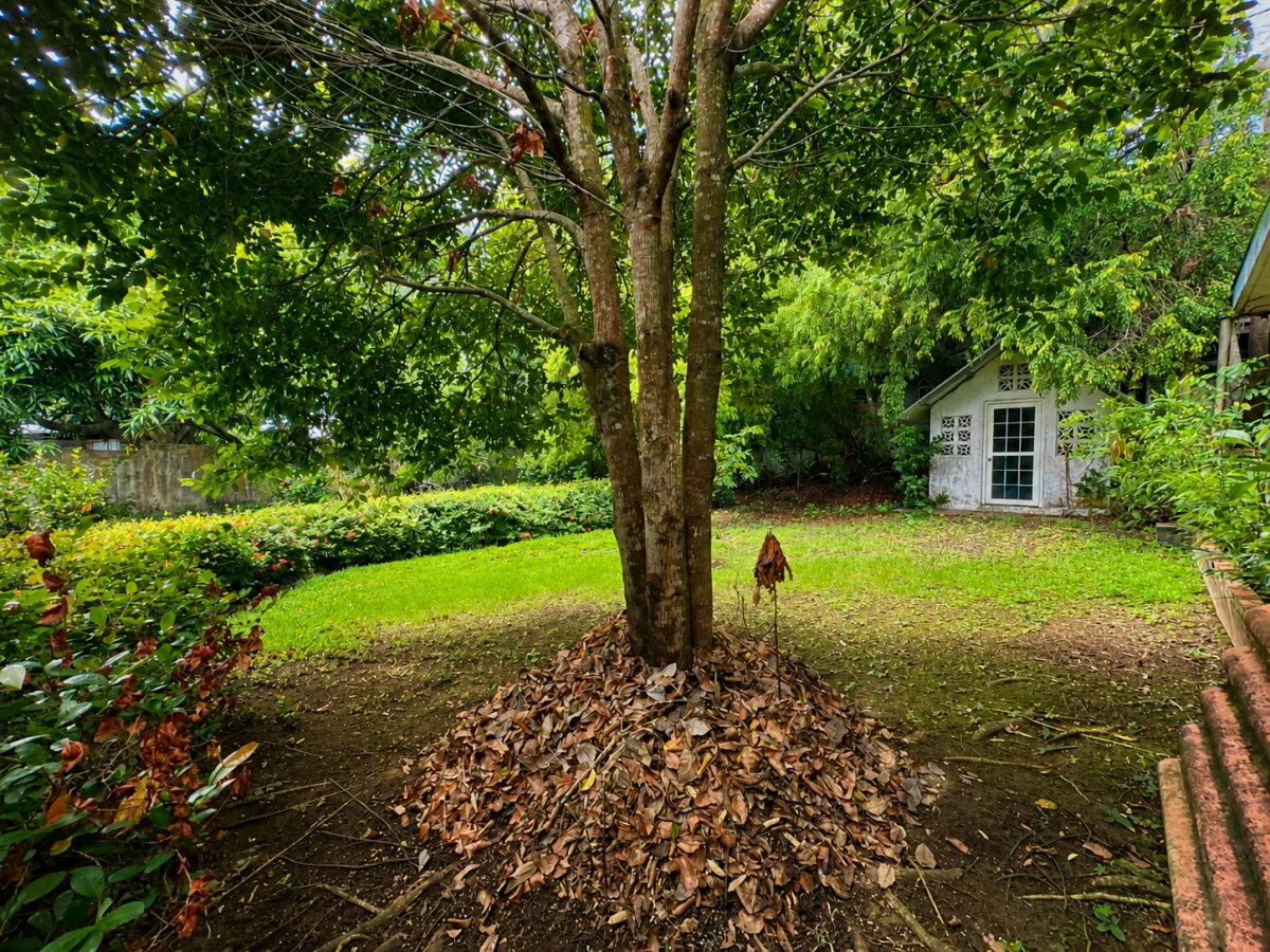 1,556 m² in Las Cumbres for Only $215,000 - Gallery image 5