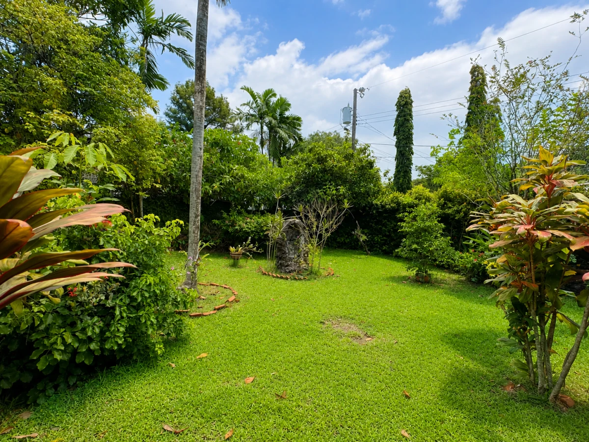 1,556 m² in Las Cumbres for Only $215,000 - Gallery image 3