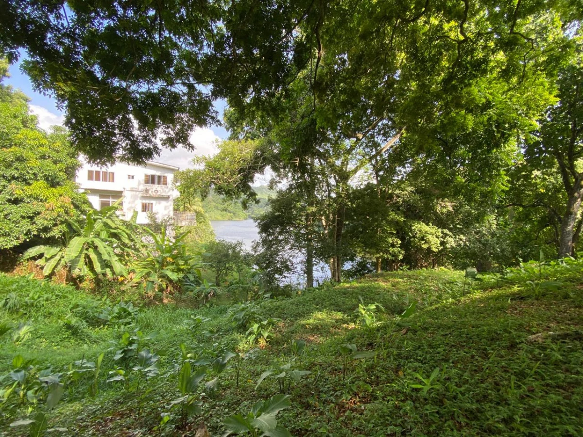 Land for Sale Facing Las Cumbres Lake - Gallery image 4