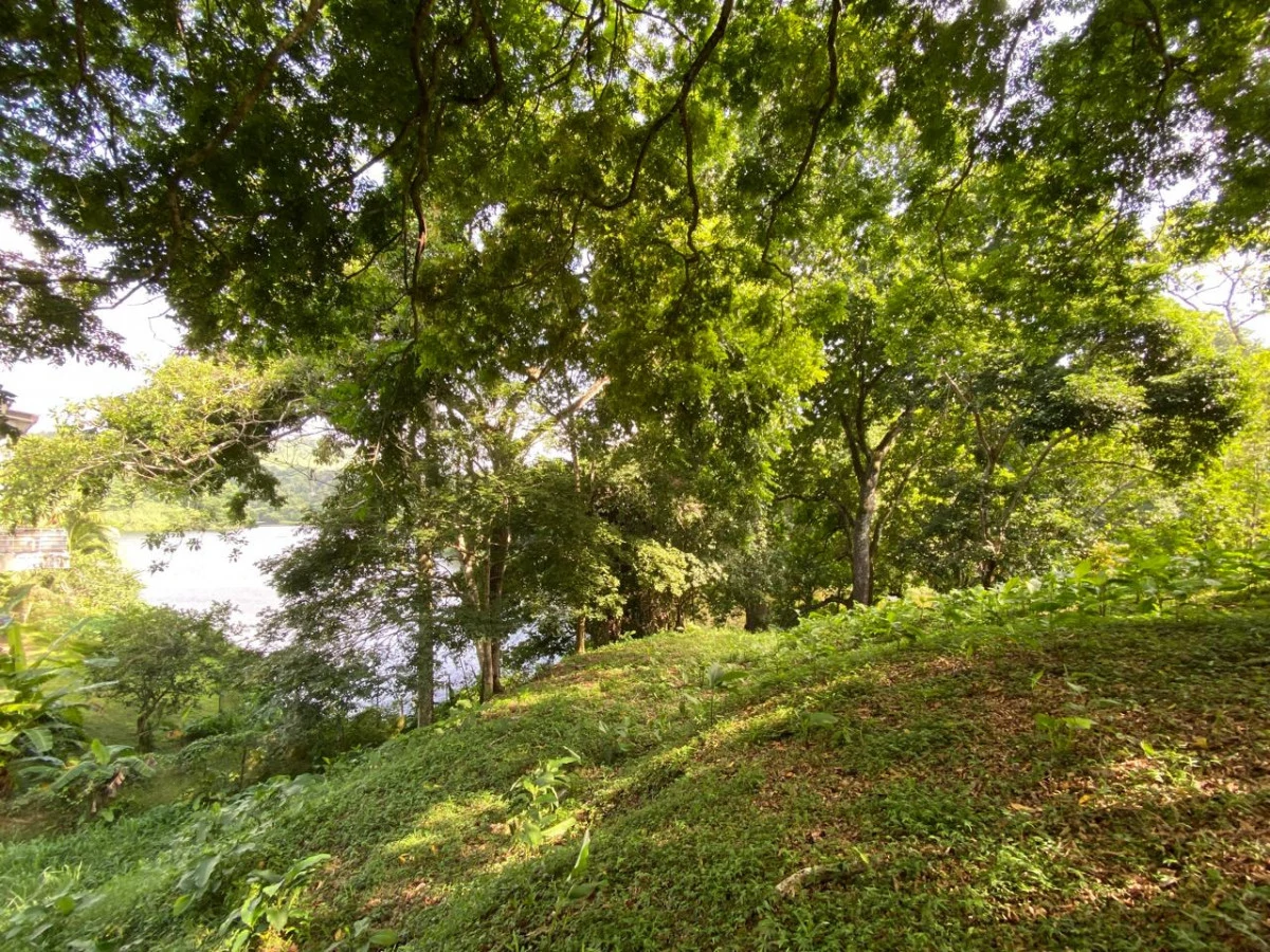 Land for Sale Facing Las Cumbres Lake - Gallery image 2