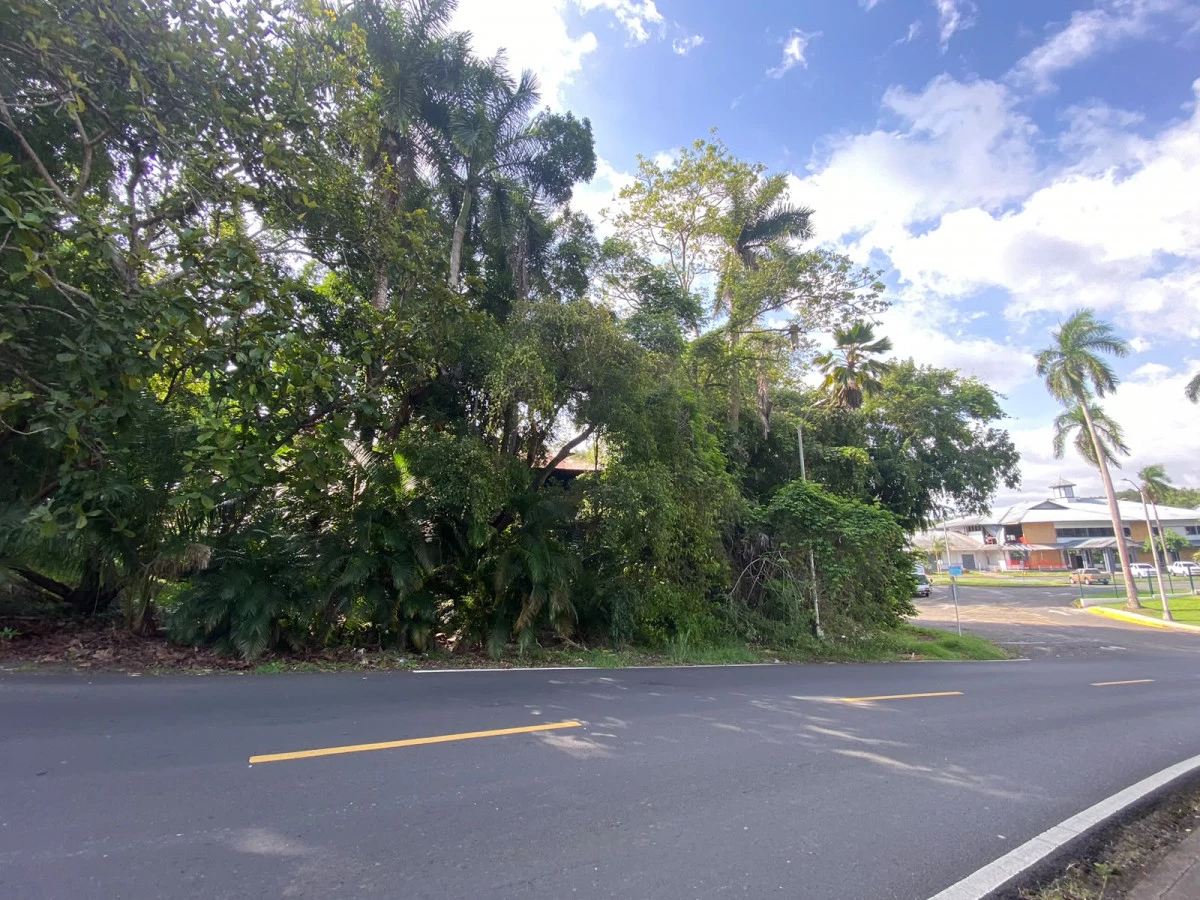 Corner Residential Lot in Diablo | 666 m² | Prime Location - Gallery image 3
