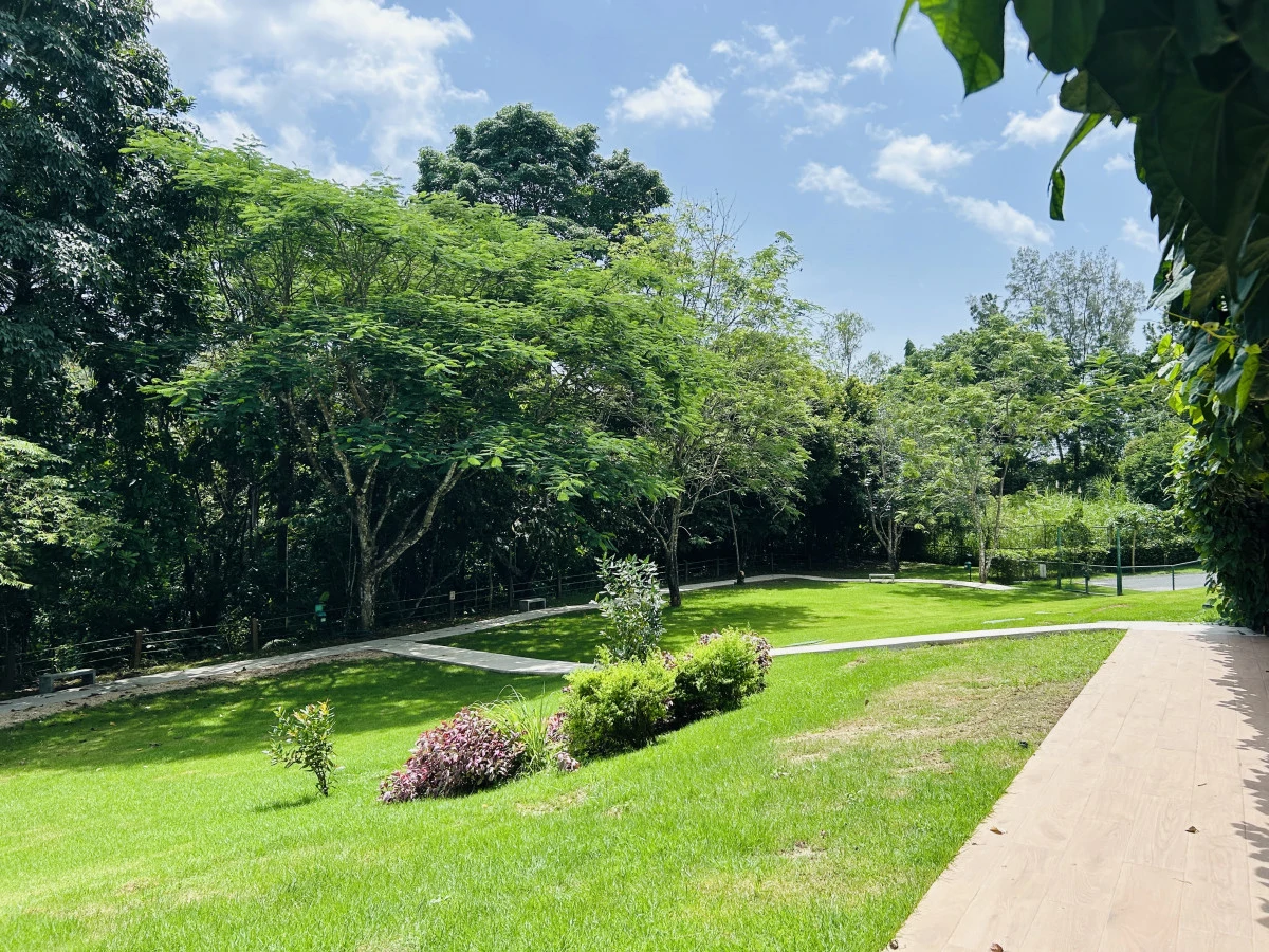 Apartment for rent in PH Forest Gate, Pine Hill. Albrook. - Gallery image 23