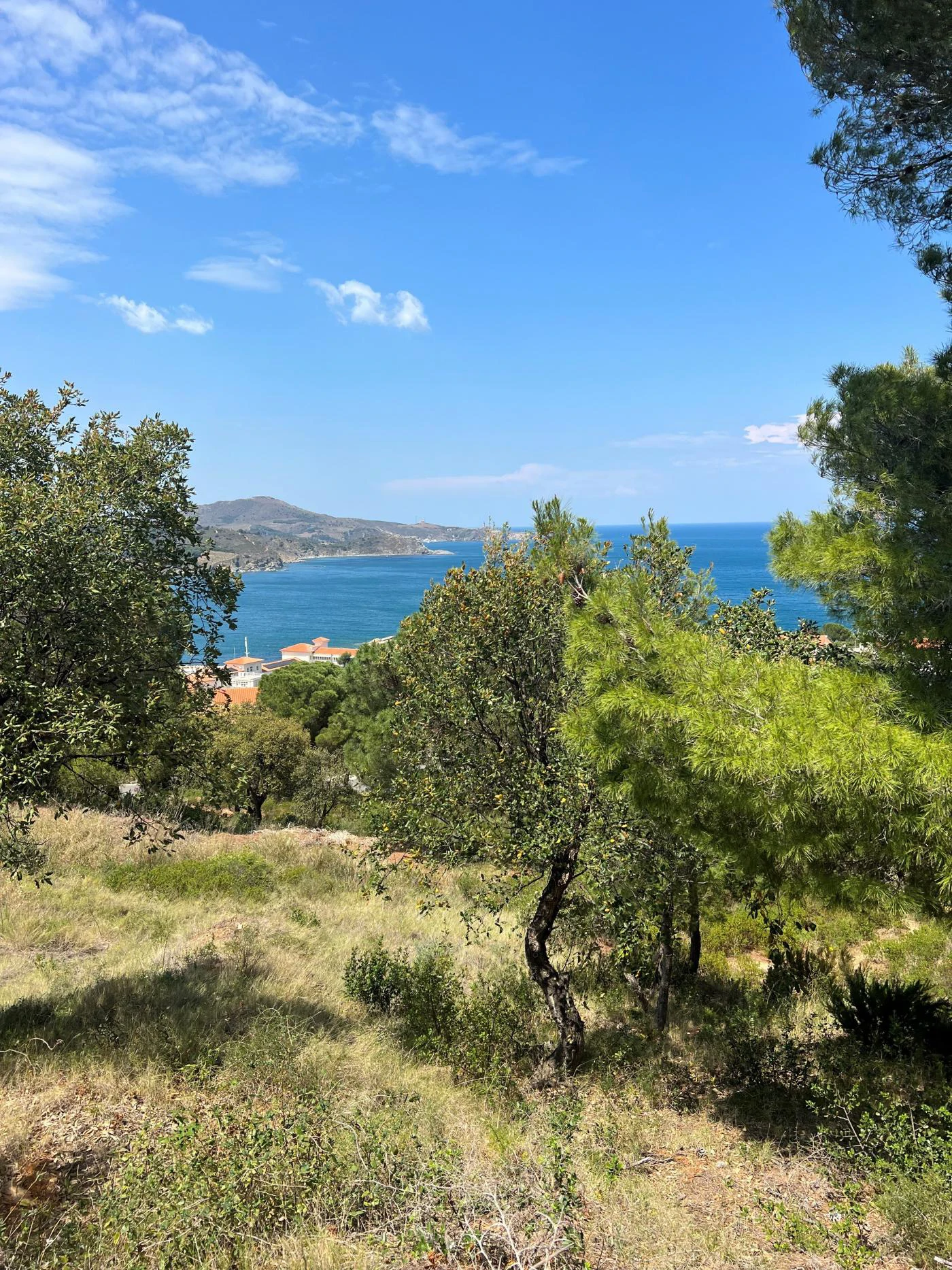 Villas Vermeil, Banyuls-sur-Mer - Gallery image 3