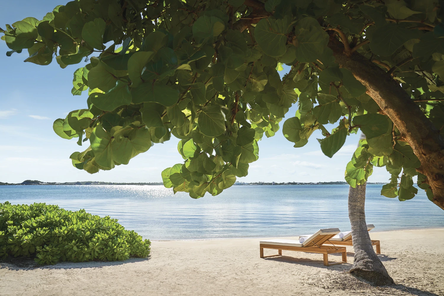 3 bed beachfront Bahamas villa for sale | Shore Cottage 11, Montage Cay - Gallery image 18