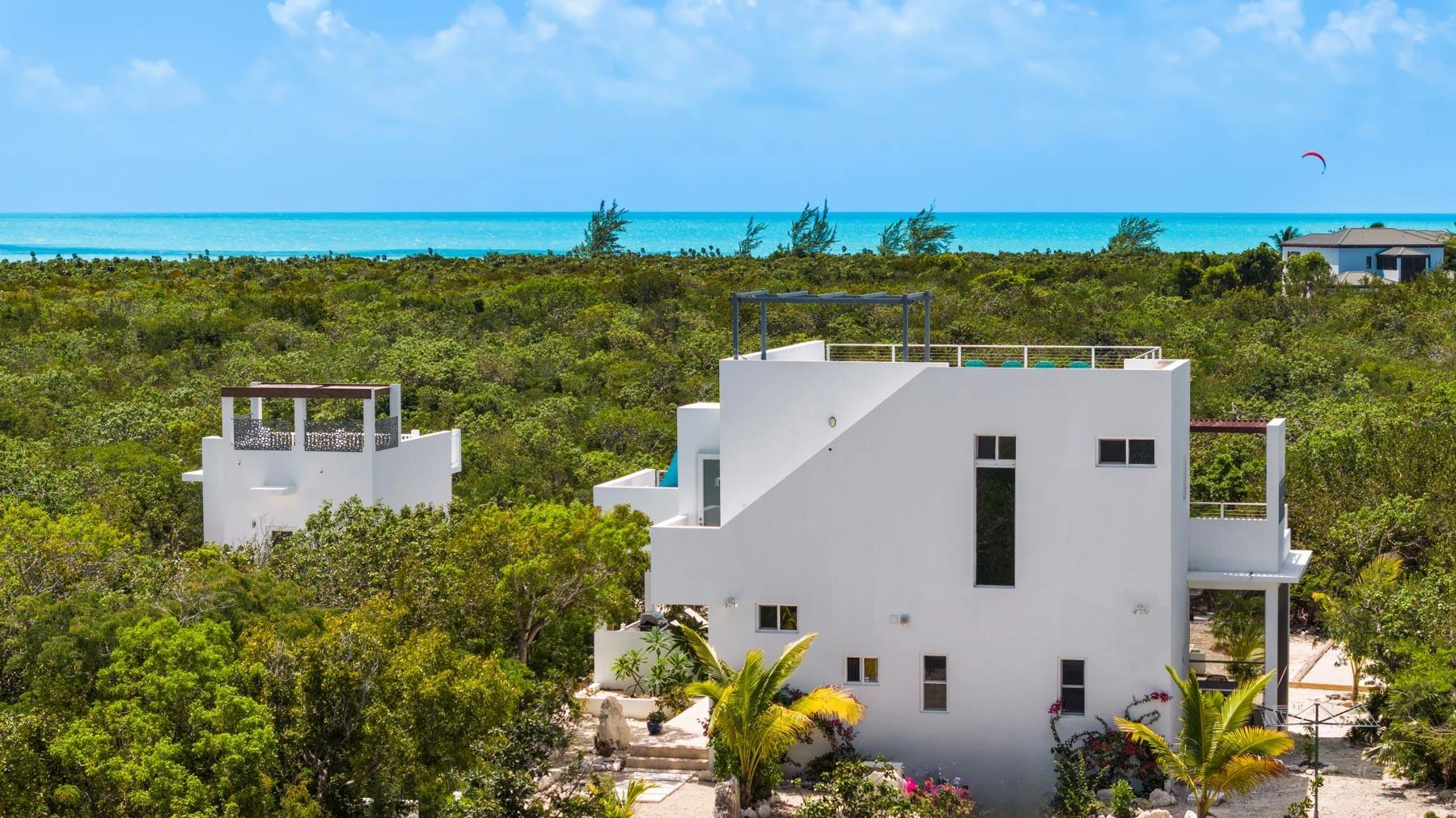 Blue Lotus & Golden Lotus - Gallery image 24