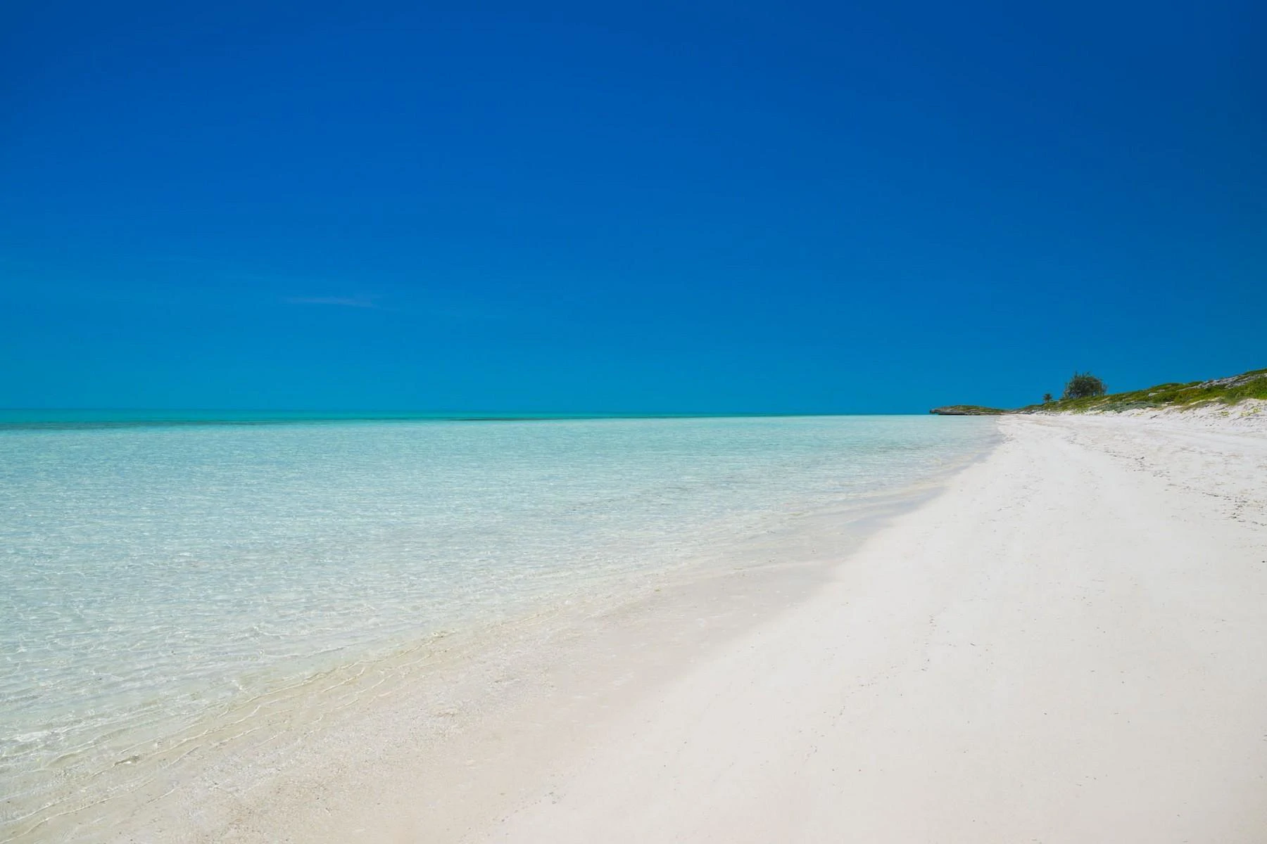 LA DOLCE VITA - Gallery image 65