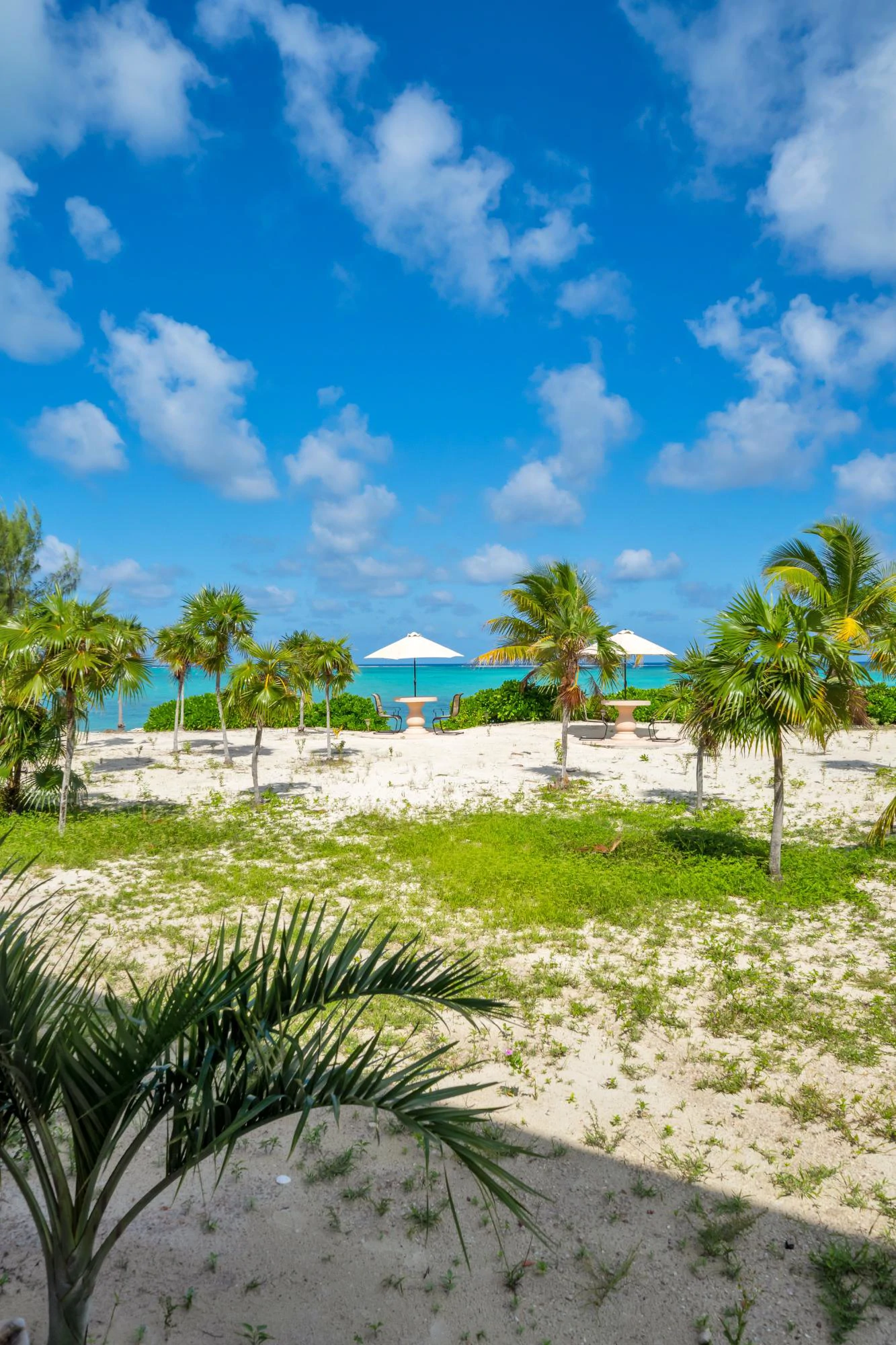Golden Pelican Villa - Gallery image 29