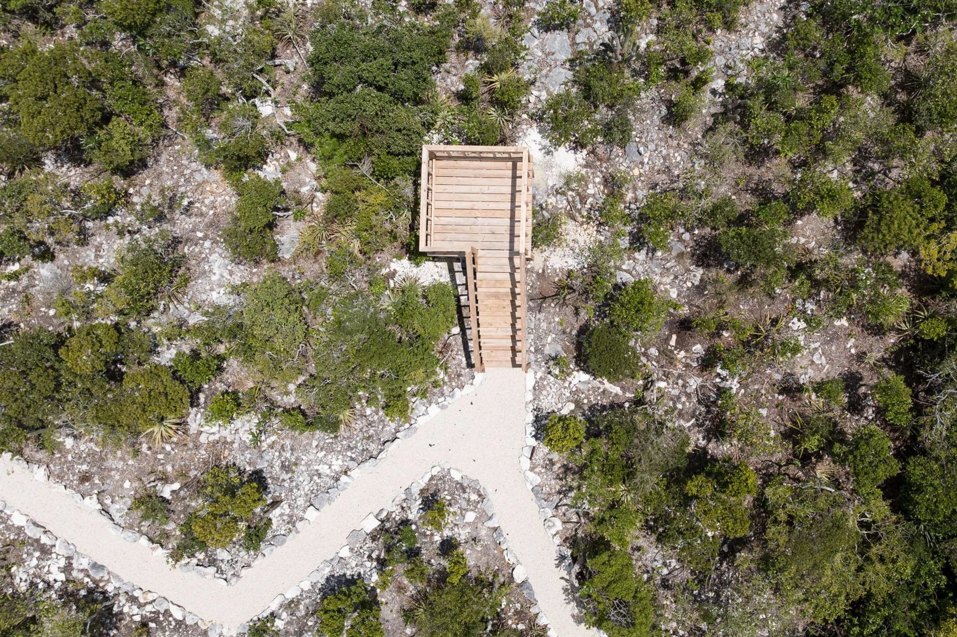 M-House D1 - Lot 2 - Gallery image 28