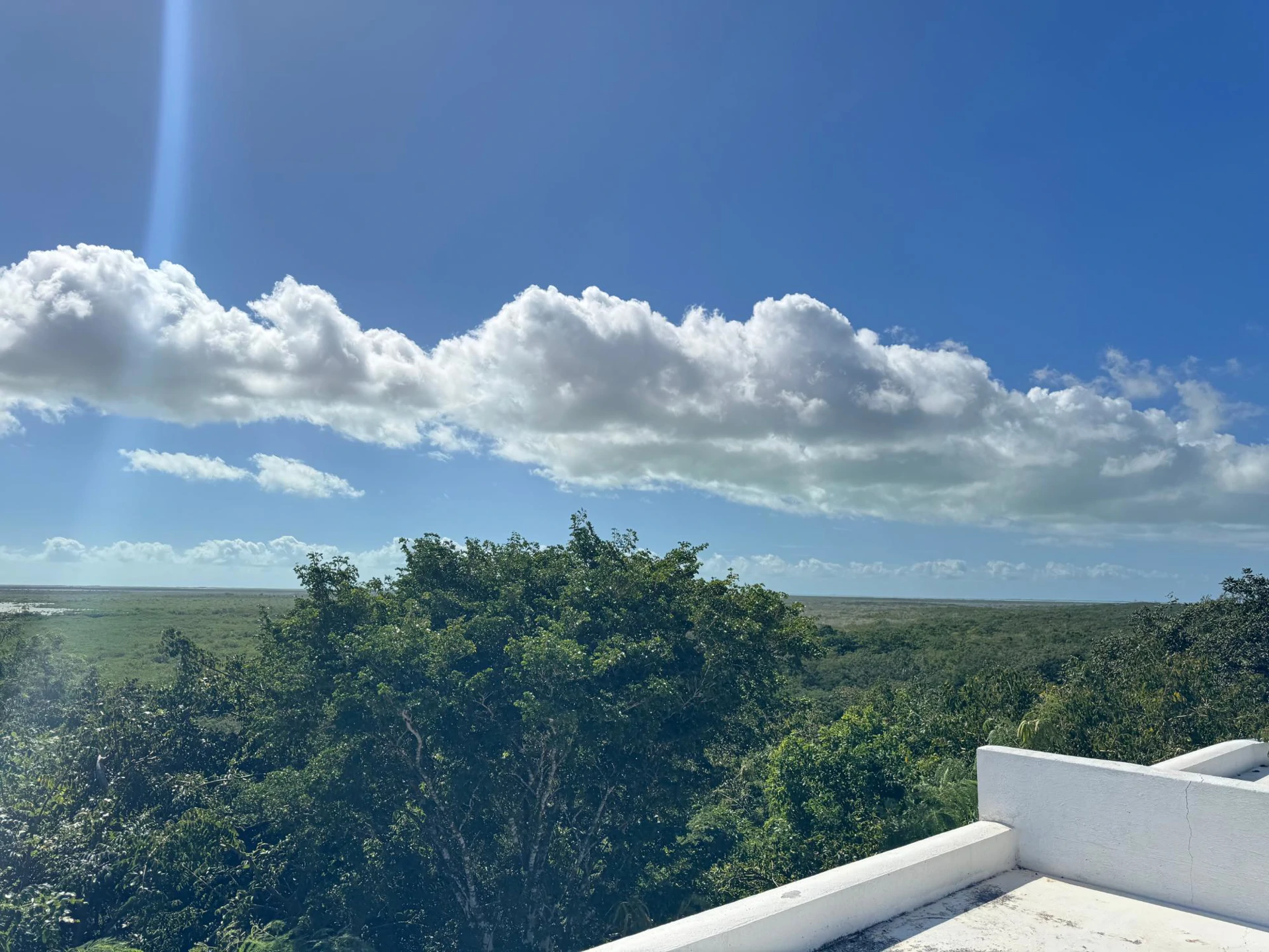 Marshalltown Cottage 2 - Gallery image 23