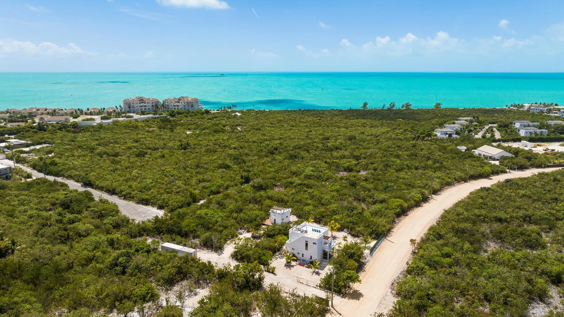 Blue Lotus & Golden Lotus - Gallery image 2