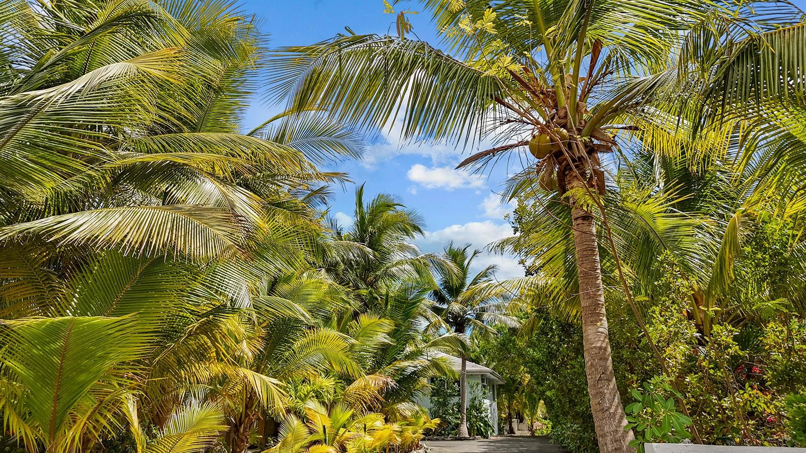 Perfect Leeward Turnkey Property - Gallery image 41