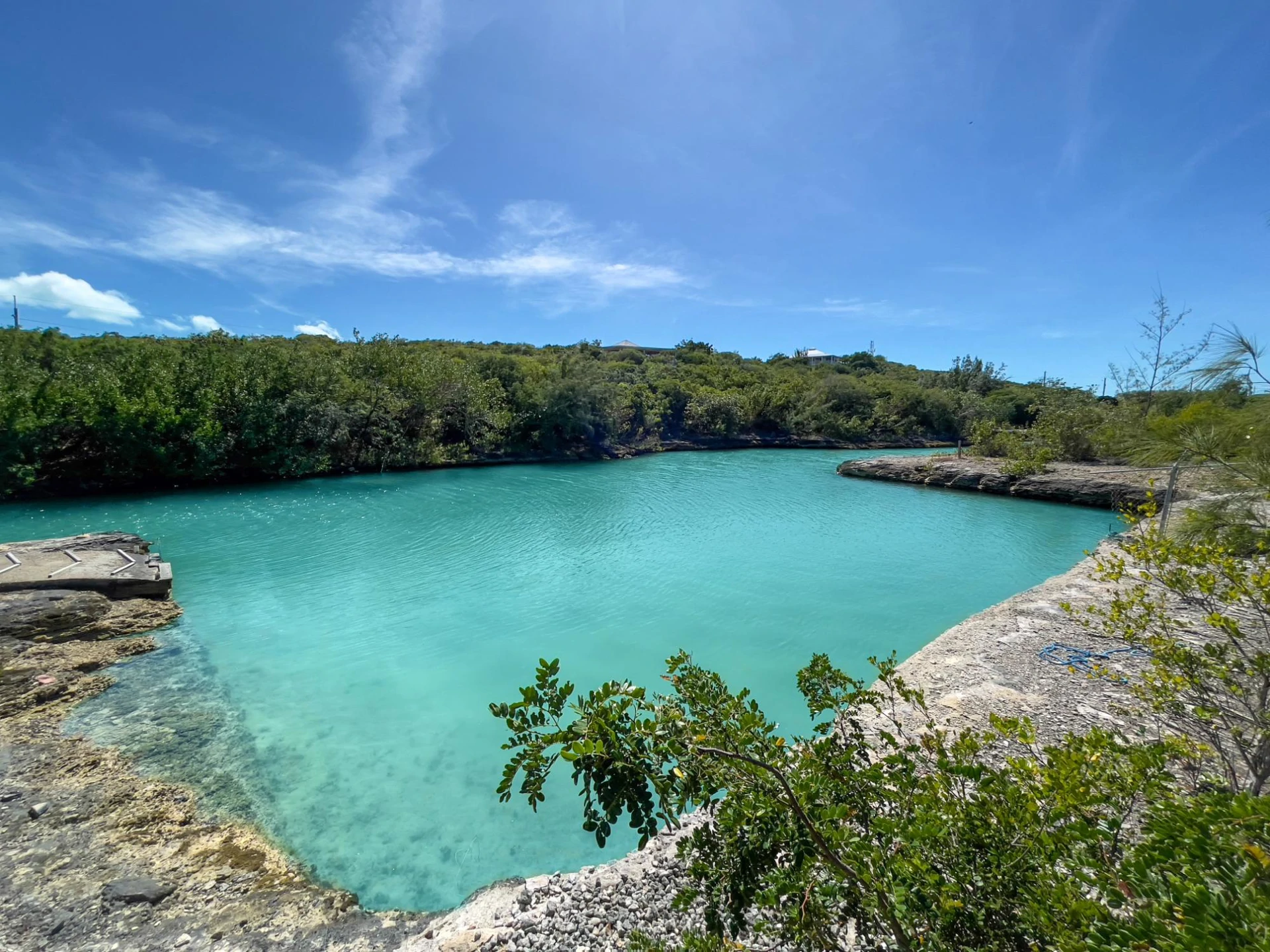 Dolphin Hideaway - Gallery image 3