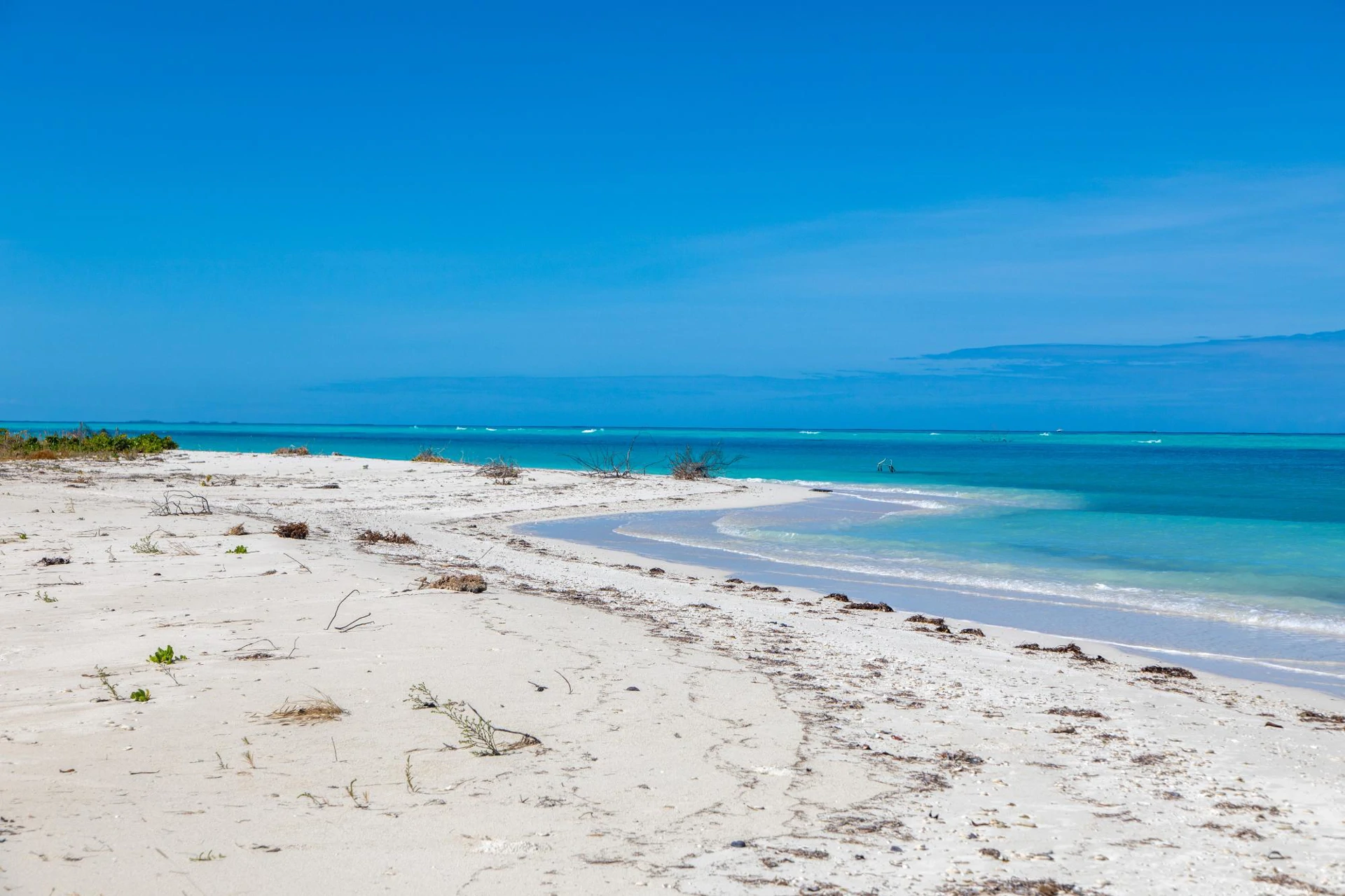 Barracuda Point, Pine Cay - Gallery image 29